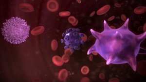 Смешарики мс Пин-код-Прививка от Кроша - Часть 2