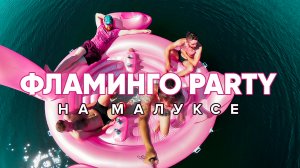 Фламинго-party на Малуксе | ДР Натали