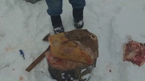 18 декабря. Разрубаю говяжью голову на холодец. (слабонервным не смотреть)
