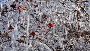 Зима в Азербайджанской Деревне. Готовим Ленивую Пахлаву. Турецкая Пахлава.