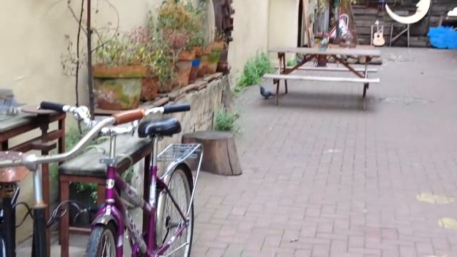 Путешествие на север. 2 500 км за 5 дней смотреть онлайн