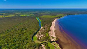 Усть-Луга.Выбье.Экологический маршрут.