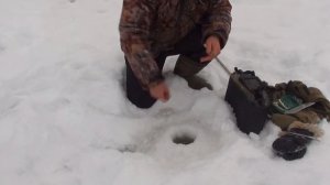 Установка простейшей жерлицы на налима #4