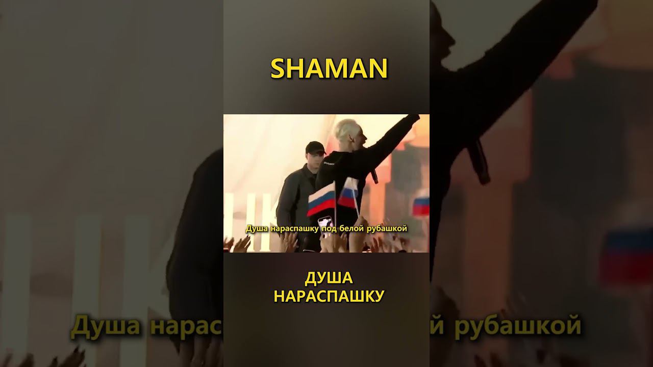 SHAMAN - ДУША НАРАСПАШКУ 4   (Lyric Video) fan edition #shaman #шаман #мама #душанараспашку