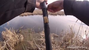 Вечерний выезд. Карась в камышах. Утки на озерах много. Рыбалка в Омской области. Тюкалинский район