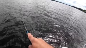 На Hurricane КЛЮЁТ КАК ИЗ ПУЛЕМЁТА то окунь то щука то судак. ЦВЕТ и РАЗМЕР ВАЖЕН!