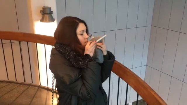 Винтовая лестница смотреть онлайн