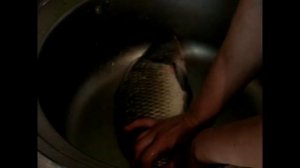 как легко почистить карпа