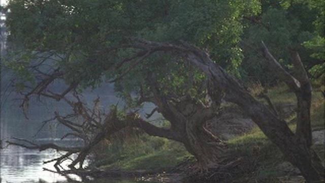 gilgarca canta - quien sera - con tc helicon voicelive touch смотреть онлайн