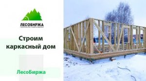 Строим каркасный дом. Новости с полей