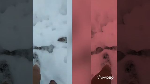 Аквапарк..... Джубга..Краснодарский край..Пенная вечеринка...Water Park Krasnodarskiy region Dzhubg