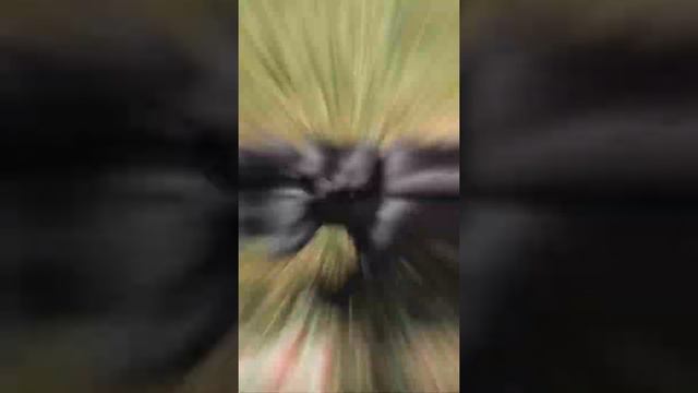 Стрижка собак ! Быстро ! Качественно! Креатив! Мелкие породы! смотреть онлайн