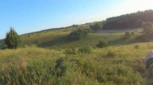 Охота на козла с подхода / охота на косулю