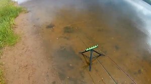 Кормление рыб с помощью рогатки