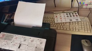 Ремонт принтера Епсон Л 100. Не берёт бумагу.
