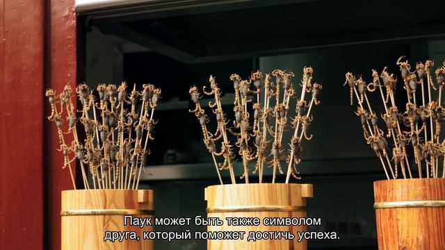 К чему снится пауки и паутина? Толкование сна и его значение по сонникам Фрейда и Хассе