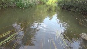 Рыбалка в забродку и обновки.