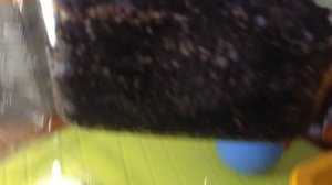 Как вырастить Мини-томат "БОНСАЙ". Часть 1:  Посев на рассаду