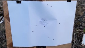 ТОЗ 34 Р 12х70 1987 г.в. 35 метров. Дробь №5, №1, картечь 8,5 мм.