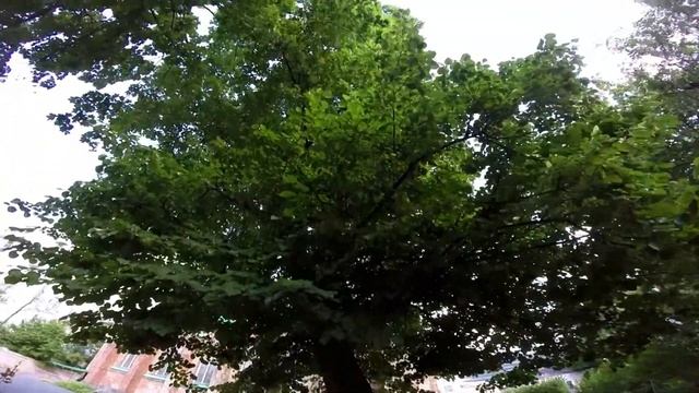 Англиканский собор святого Андрея