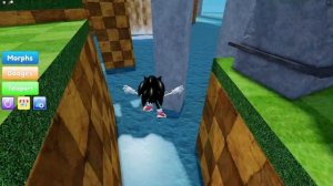 ALL *75* SONIC MORPH LOCATIONS In Roblox Find The Sonic Morphs!