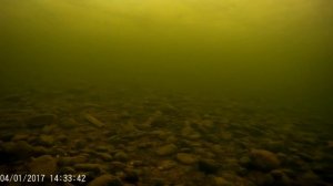 Зимняя ловля хариуса в Частоостровском, рыбалка на Енисеи в Красноярск на хариуса подводные съемки!