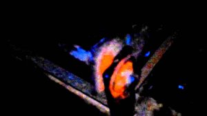 Соня в танке