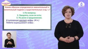 4-класс | Русский язык |  Именительный и винительный падежи имён существительных