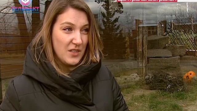 Снежный Барс из Челябинска объявил кастинг невест смотреть онлайн