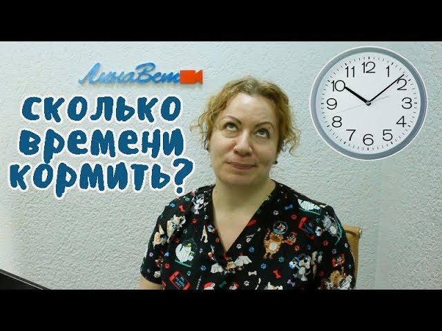 Ветеринарные корма. Сколько времени нужно давать ветеринарные диеты?