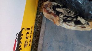 ШРУС внутренний фирма GSP ,появился люфт после 3 месяцев эксплуатации.Сравнение с оригинальным.