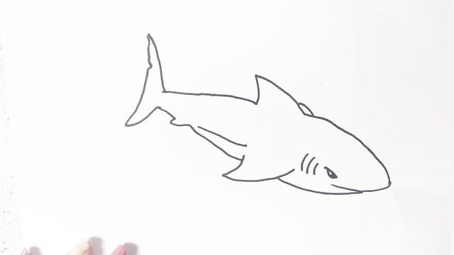 КАК НАРИСОВАТЬ АКУЛУ / РИСОВАТЬ АКУЛУ ЛЕГКО /КАК РИСОВАТЬ АКУЛУ ЛЕГКО И ПРОСТО /РИСУНКИ ДЛЯ СРИСОВК
