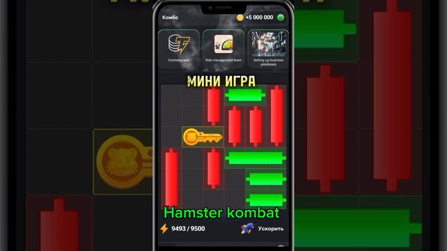 Прохождение игры хамстер