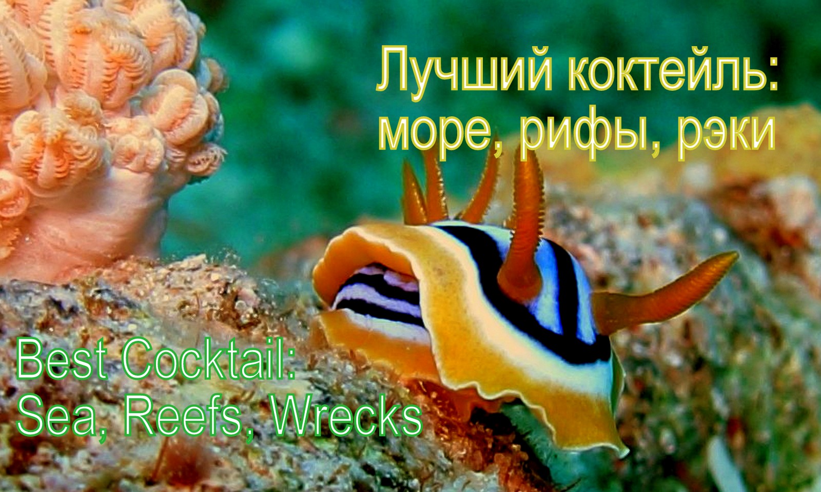 Лучший коктейль: море, рифы, затонувшие корабли