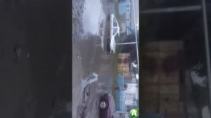 Такси застряло в луже