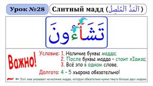 Зелавди Уроки Таджвида-28 (Слитный Мадд)