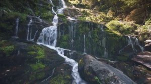 Звуки водопада • Для сна и медитации • Природа • 3 часа