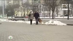 Возвращение Мухтара 2 Рогоносец 339 Видео 2023 Года