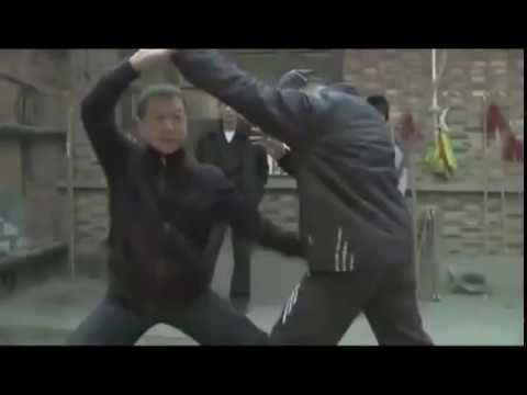 Piguaquan. Master Wang Zhihai