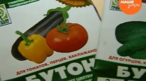 Садовод опытник Светлана Мартынова продолжает разговор  о стимуляторах роста