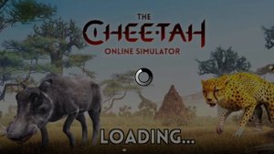 the cheetah 100k account
