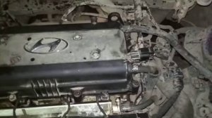 Солярис 280 000 звук после замены цепи ГРМ