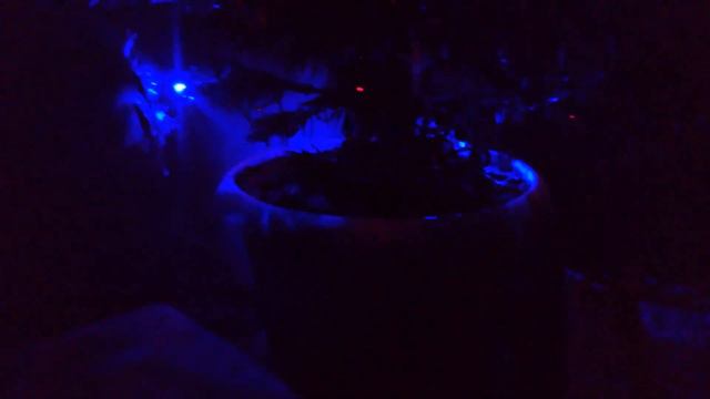 С Новым 2020 годом!!! смотреть онлайн