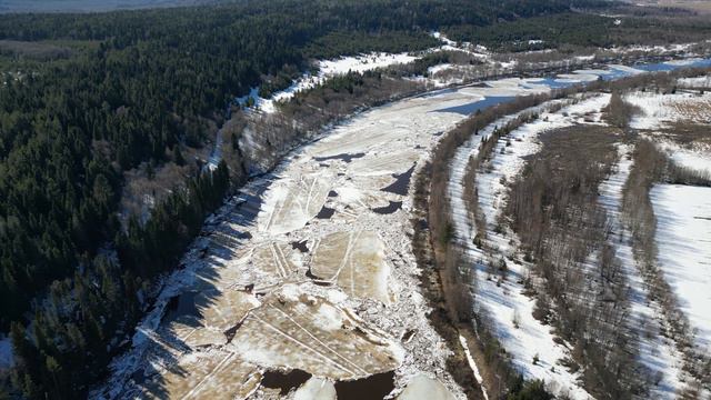 Устьянский район и река Устья весной 2024.