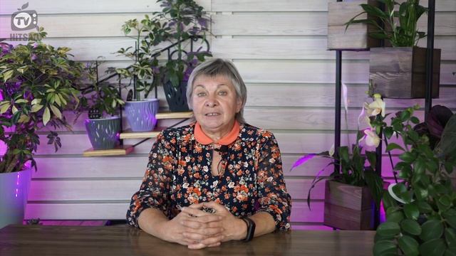 Уход За Виноградом Осенью ? Чем Подкормить Виноград Перед Зимой ? Советы От Хитсад ТВ