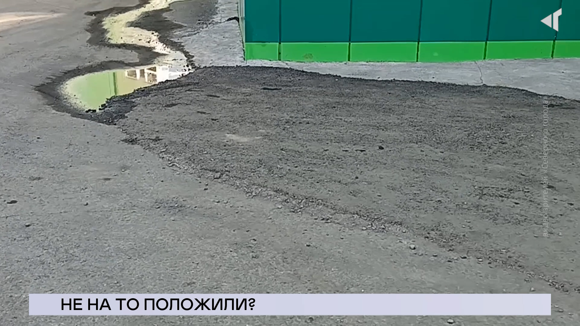 01.08.23. «Новости Северного города». Не на то положили? Готовь трубы летом. Что с медведицей?