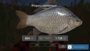 Ловим Карася и Карпа на озере Комариное Русская рыбалка 4 - Russian Fishing 4