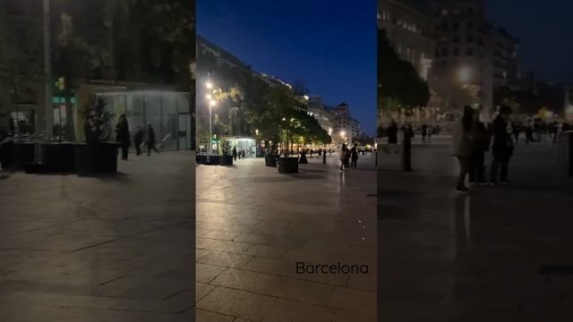 Barcelona Catedral de Barcelona #barcelona #oldtown #gothic #nightlife #historical