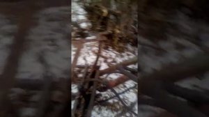 размеры кун на т 16