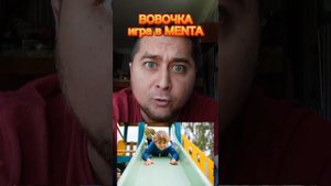 Приколы и анекдоты на разные темы